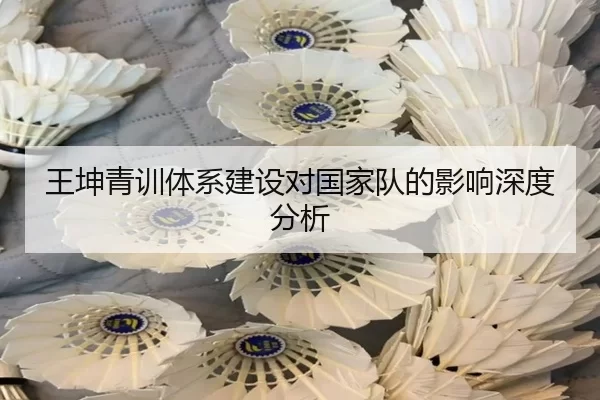 王坤青训体系建设对国家队的影响深度分析